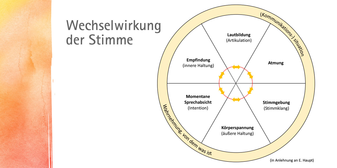 Logopädie Stummfunktionskreis